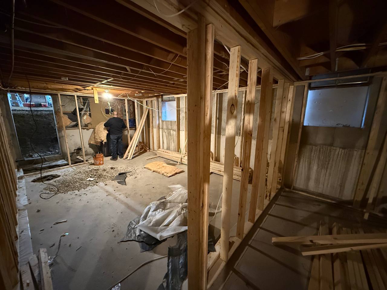 basement door and windows